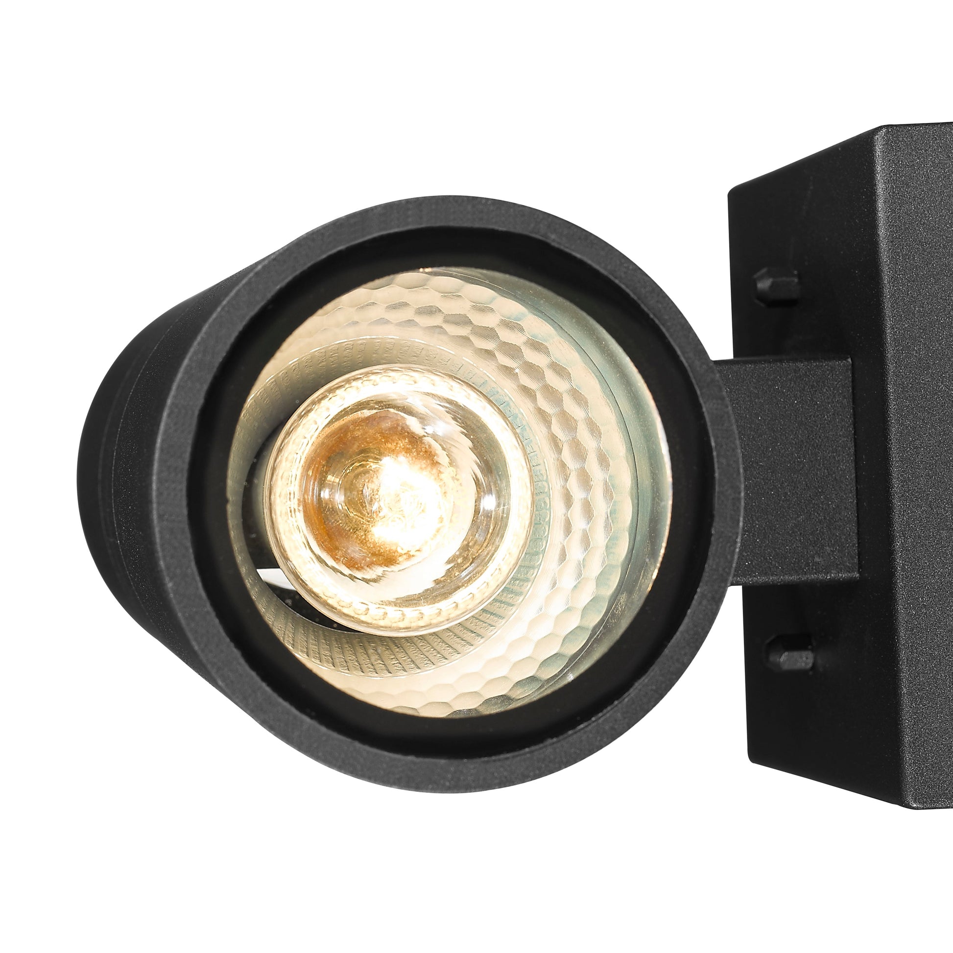 Society 2-Light 12" Up-Down Outdoor Wall Light-2
