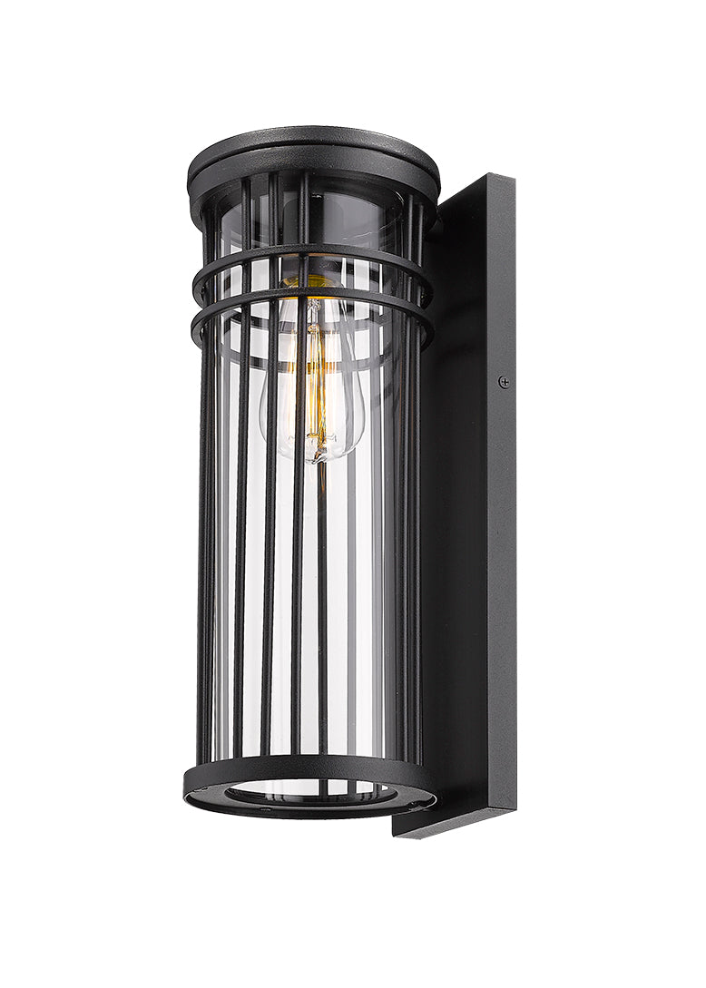Sicily 1-Light Clear Large Outdoor Wall Light-zoom-4