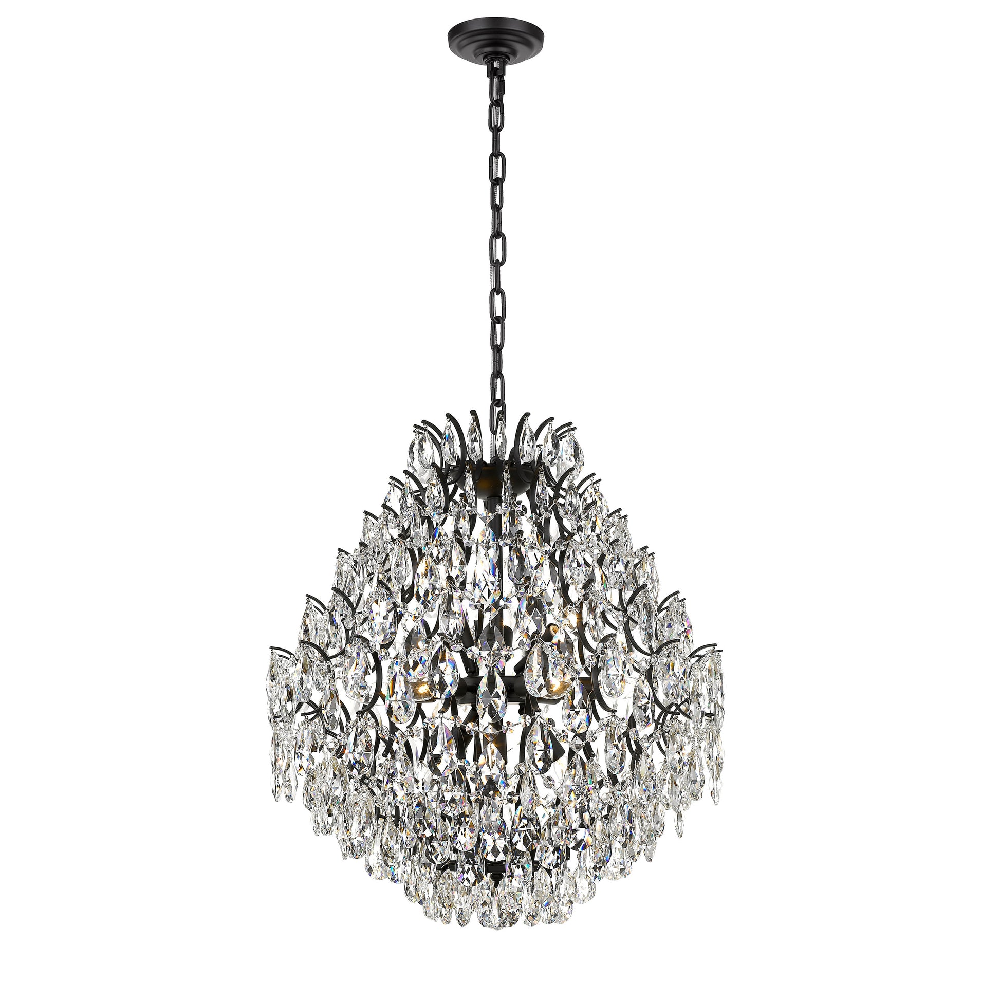 Charlotte 12-Light Black Frame Crystal Chandelier-4