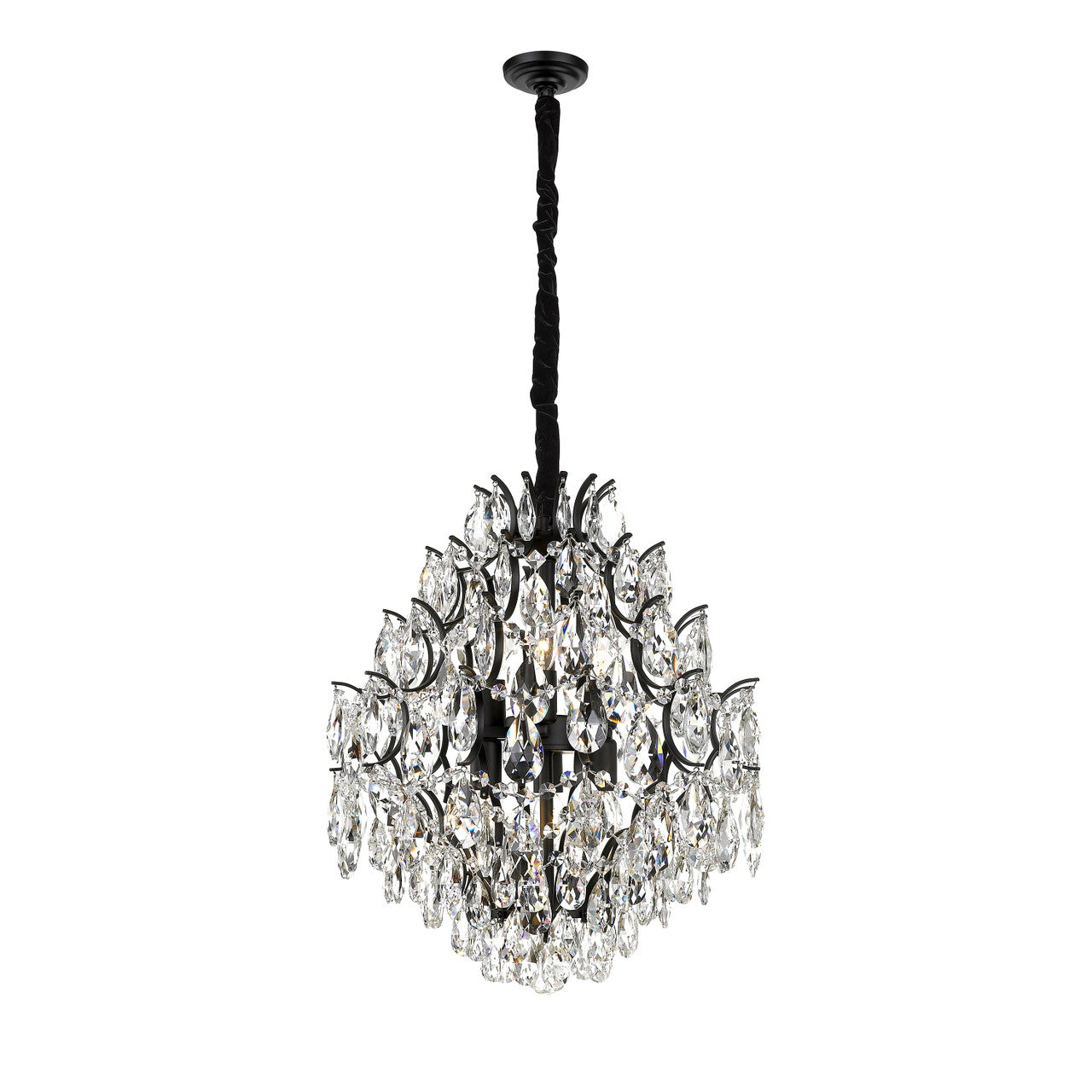Charlotte 6-Light Black Frame Chandelier-3
