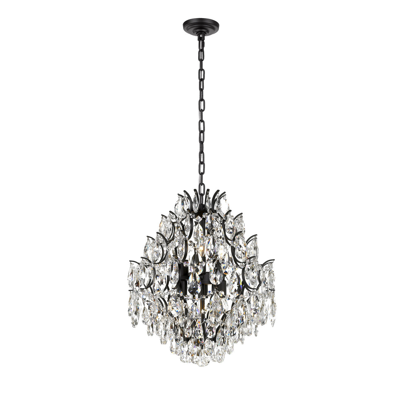 Charlotte 6-Light Black Frame Chandelier-zoom-1