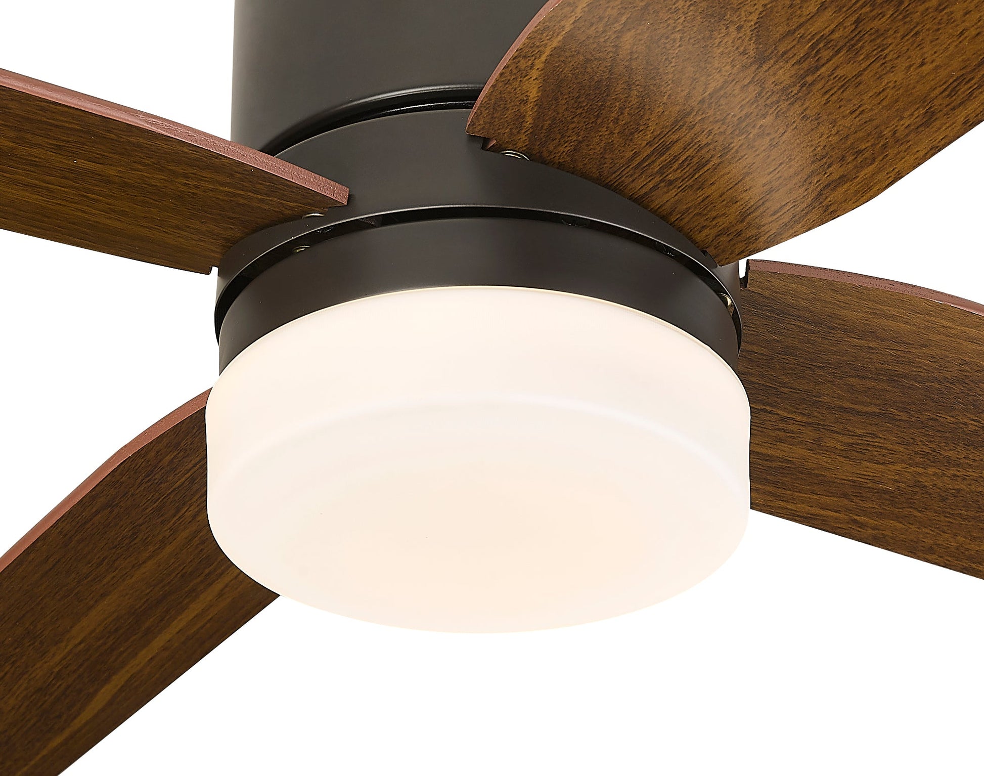 Keen 52" Ceiling Fan-7