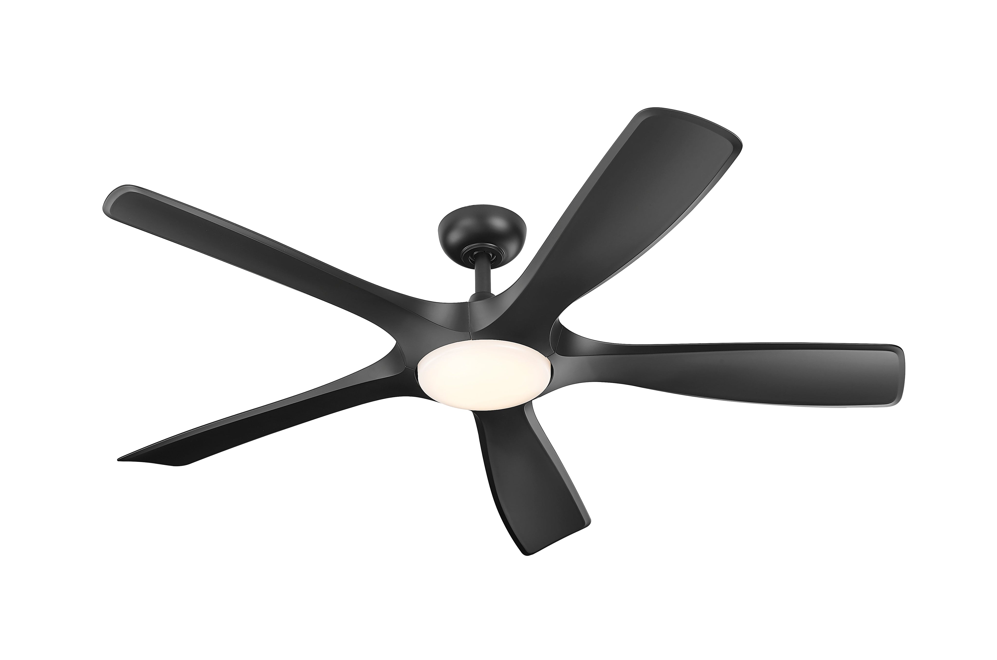 Melody 56" Ceiling Fan-zoom-4