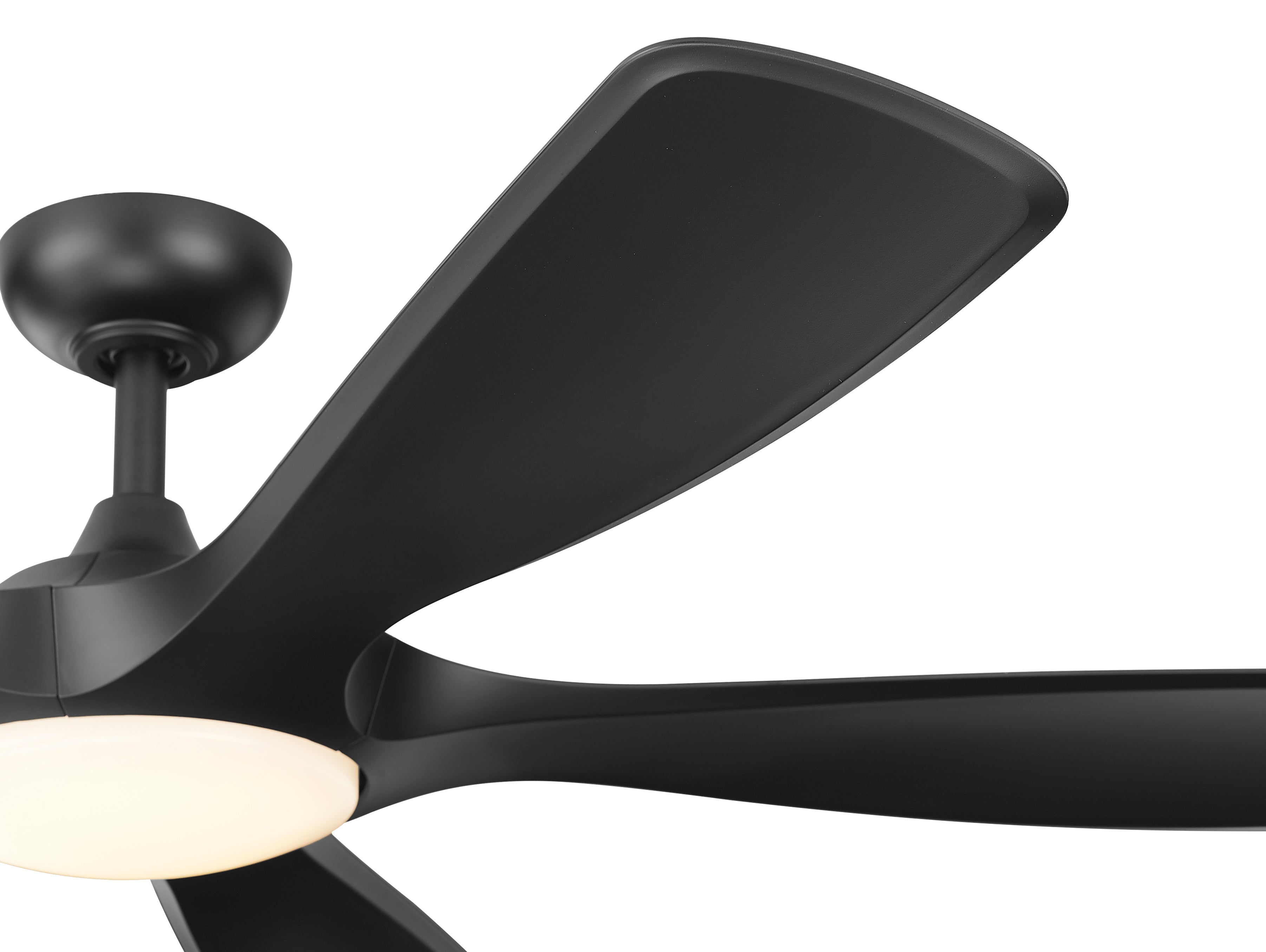 Melody 56" Ceiling Fan-zoom-5