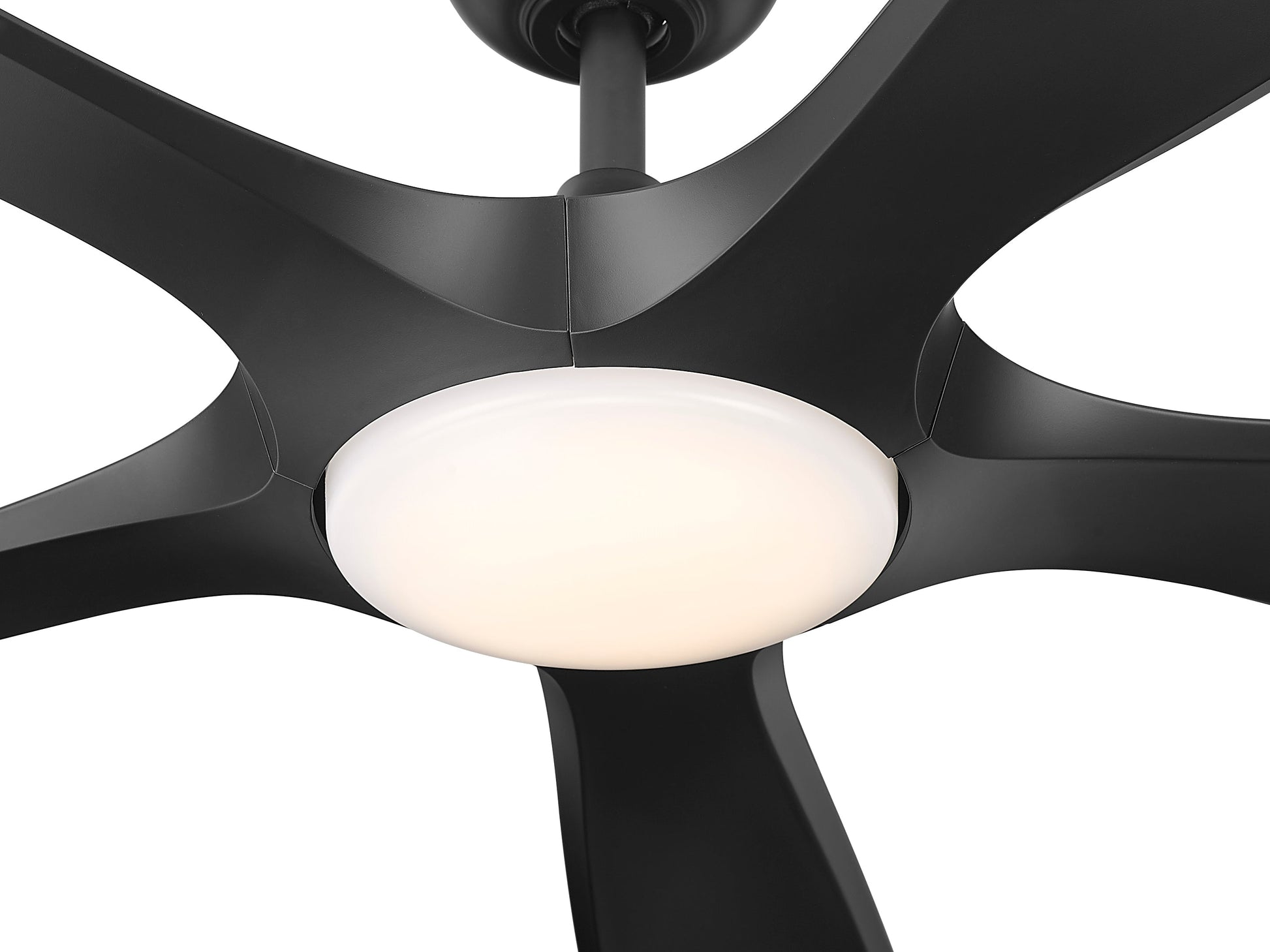 Melody 56" Ceiling Fan-6