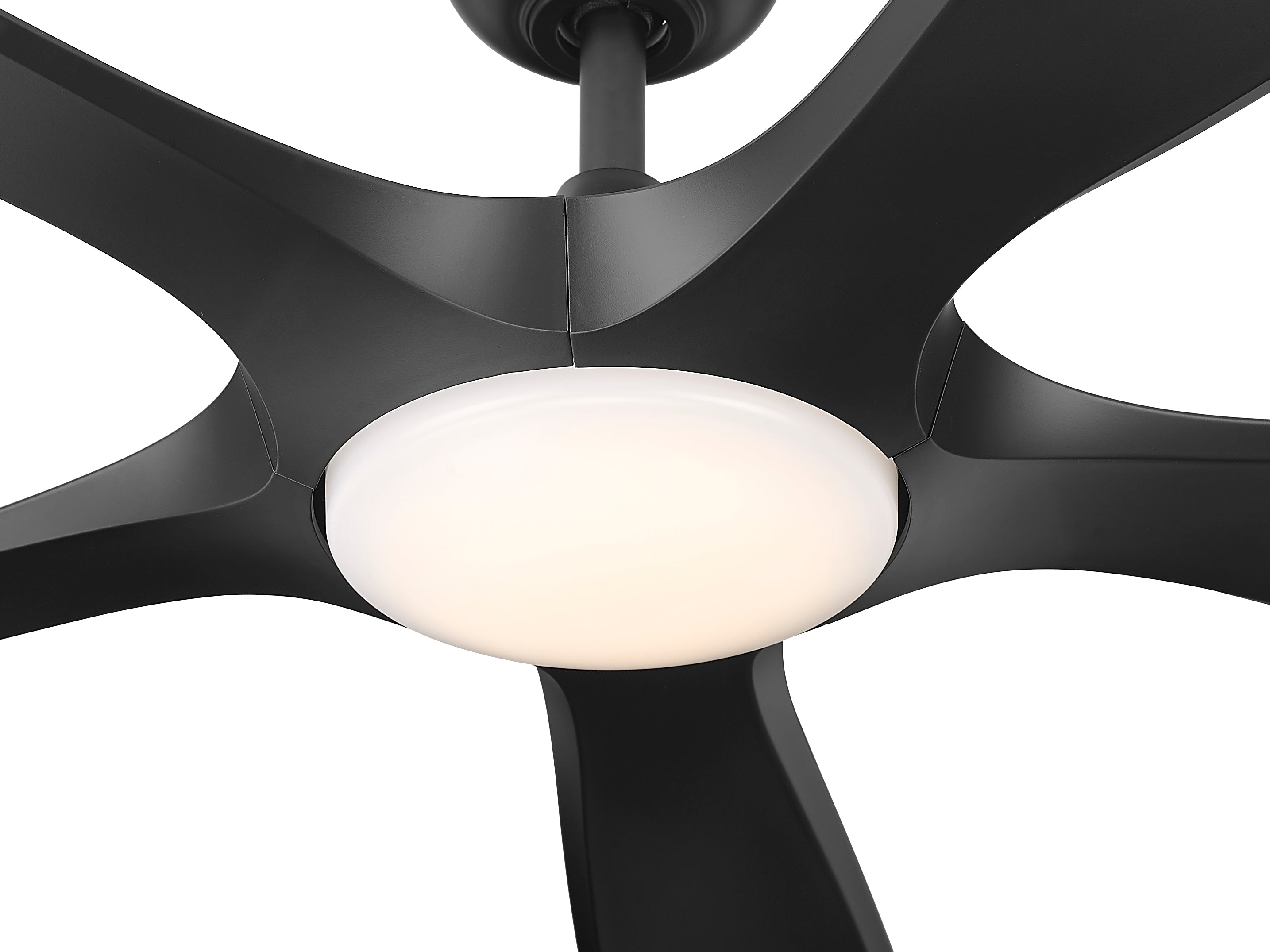 Melody 56" Ceiling Fan-zoom-6