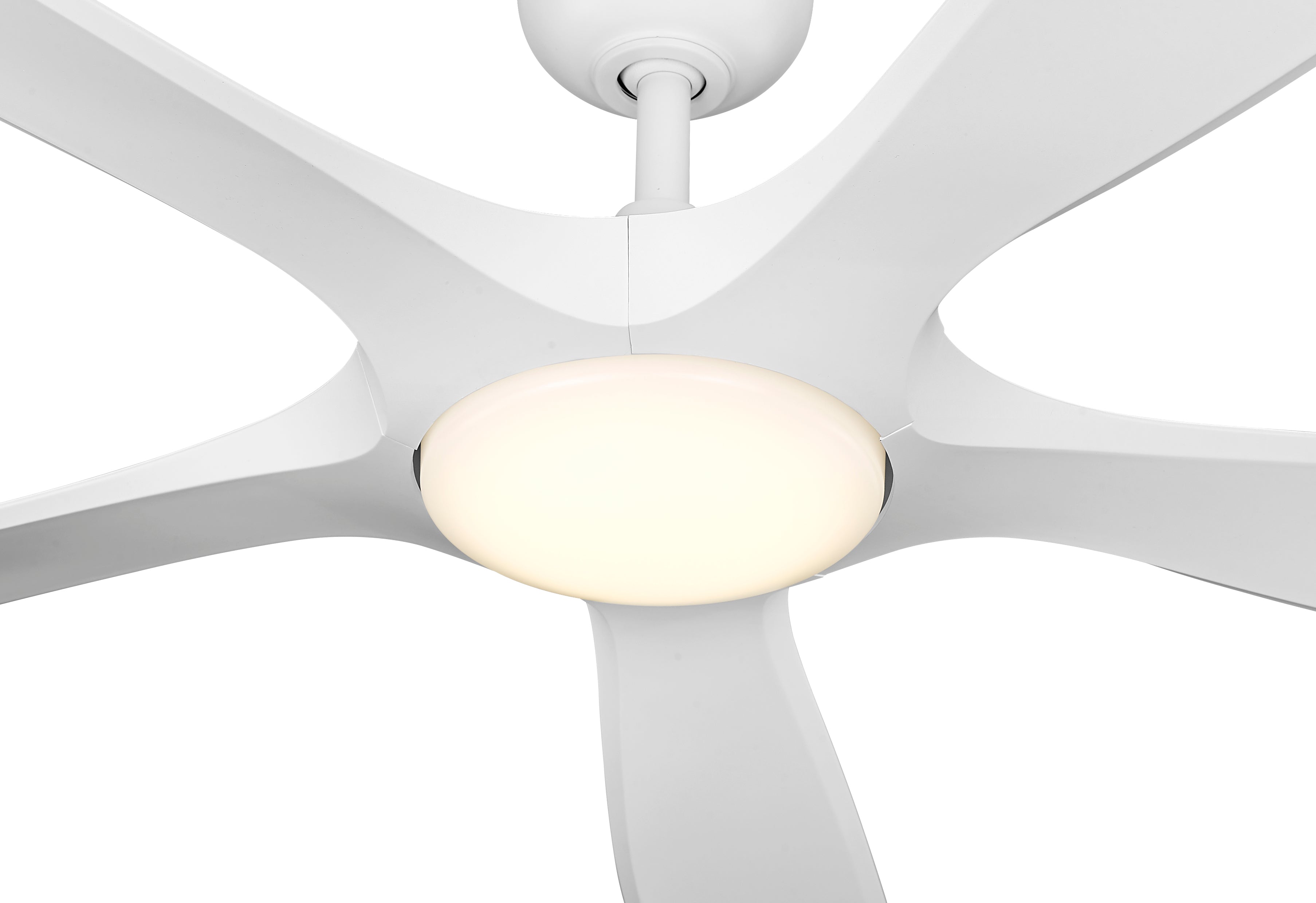 Melody 56" Ceiling Fan-zoom-11