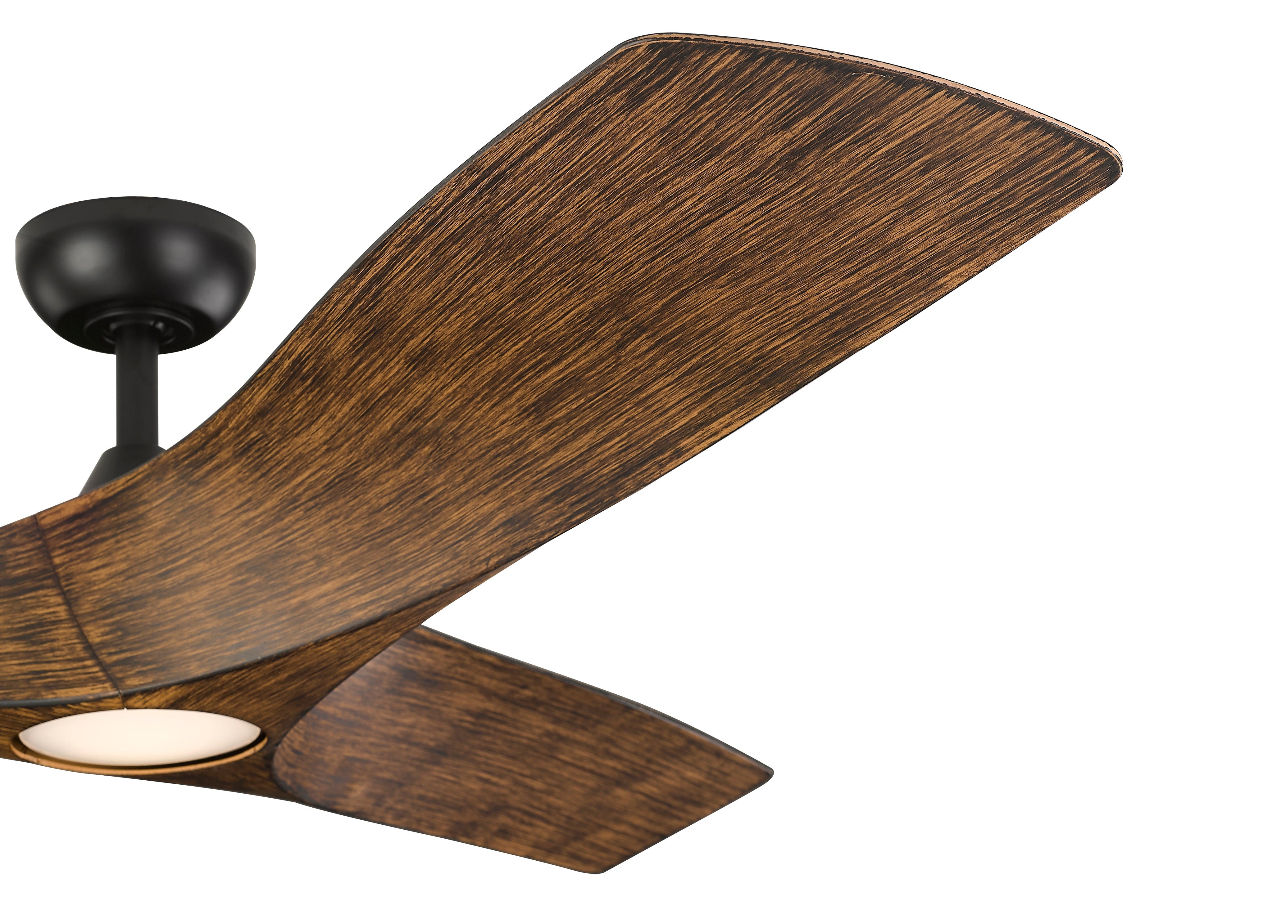 Perenne 62" Ceiling Fan-zoom-5