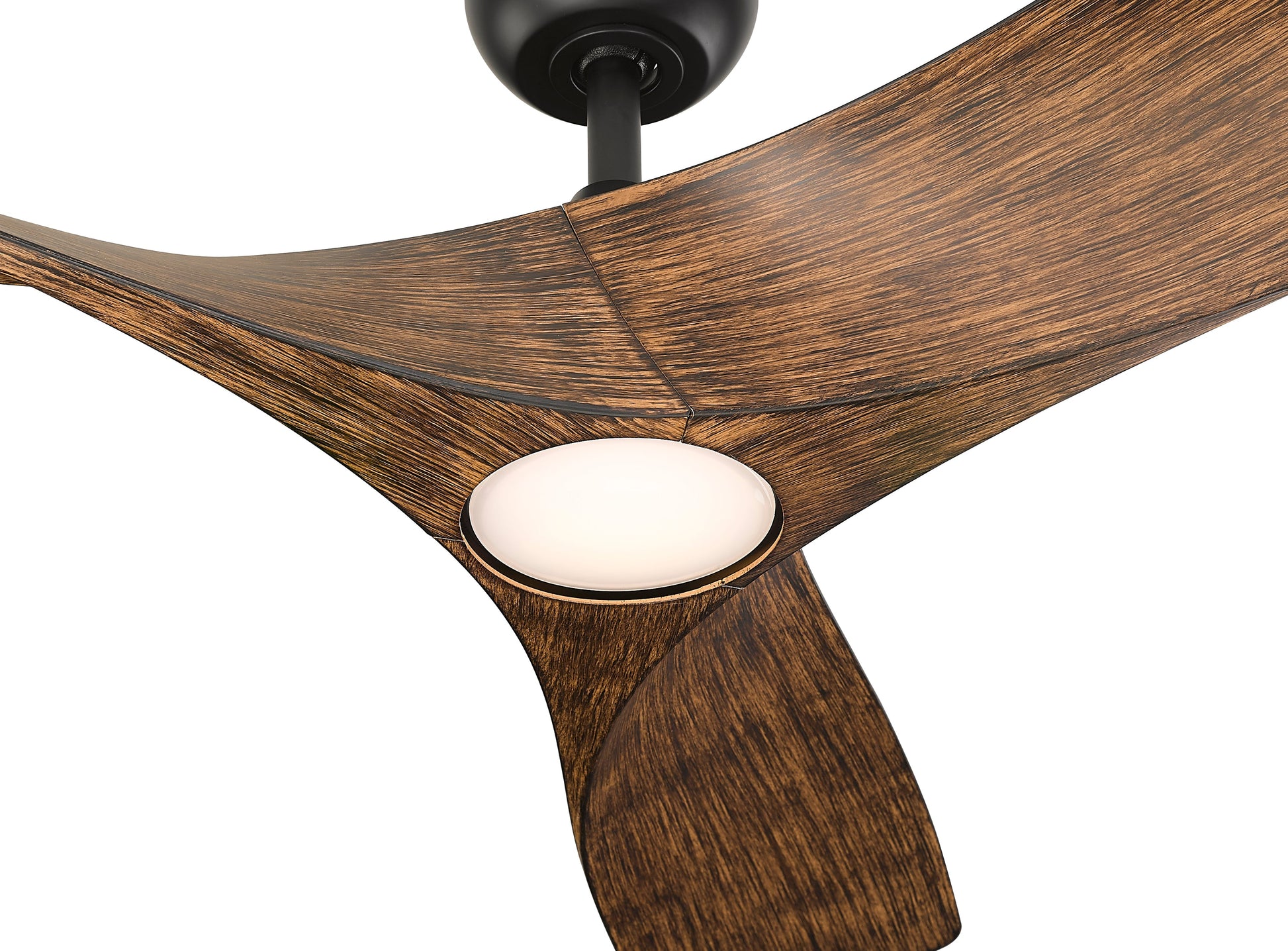 Perenne 62" Ceiling Fan-6