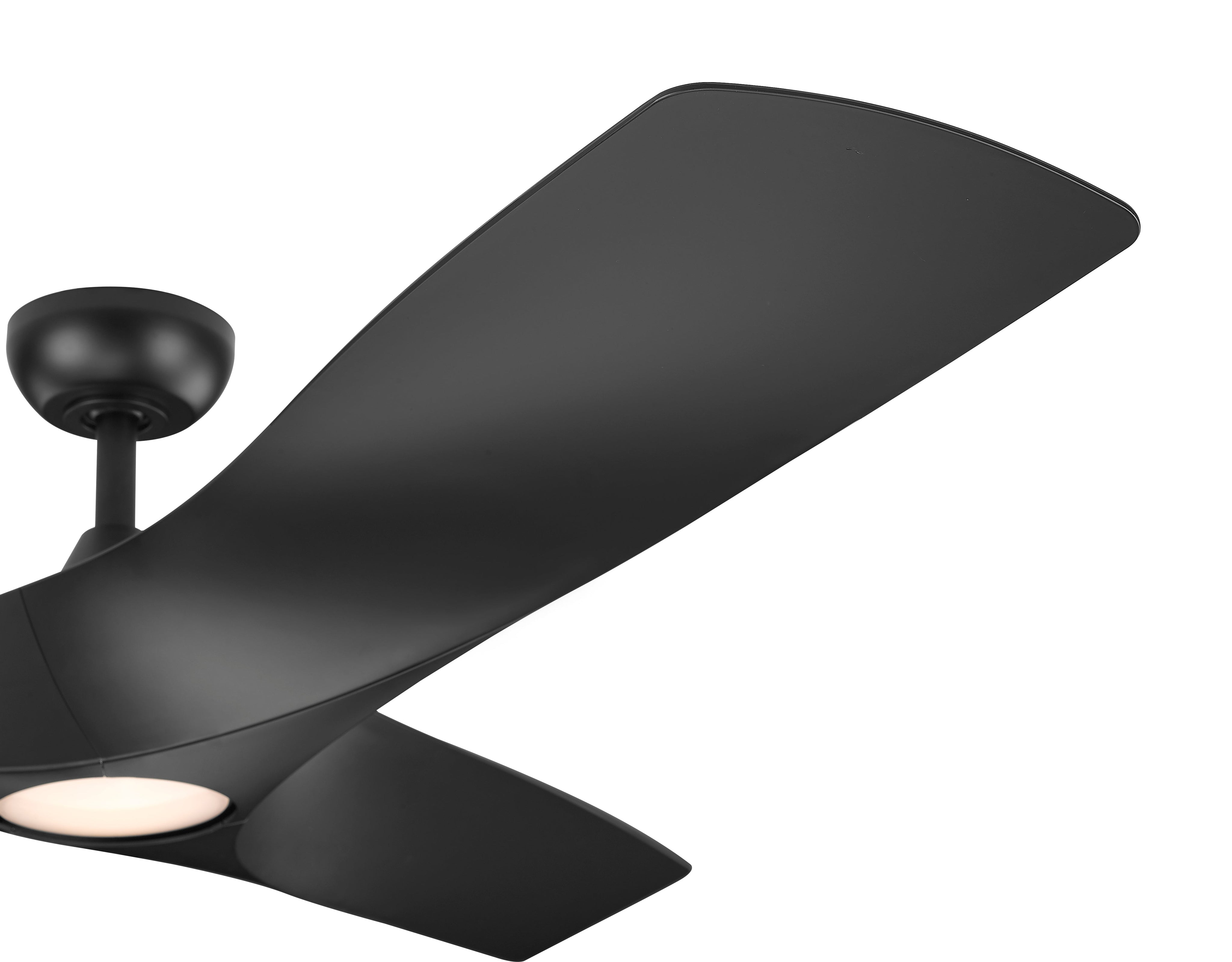 Perenne 62" Ceiling Fan-zoom-7