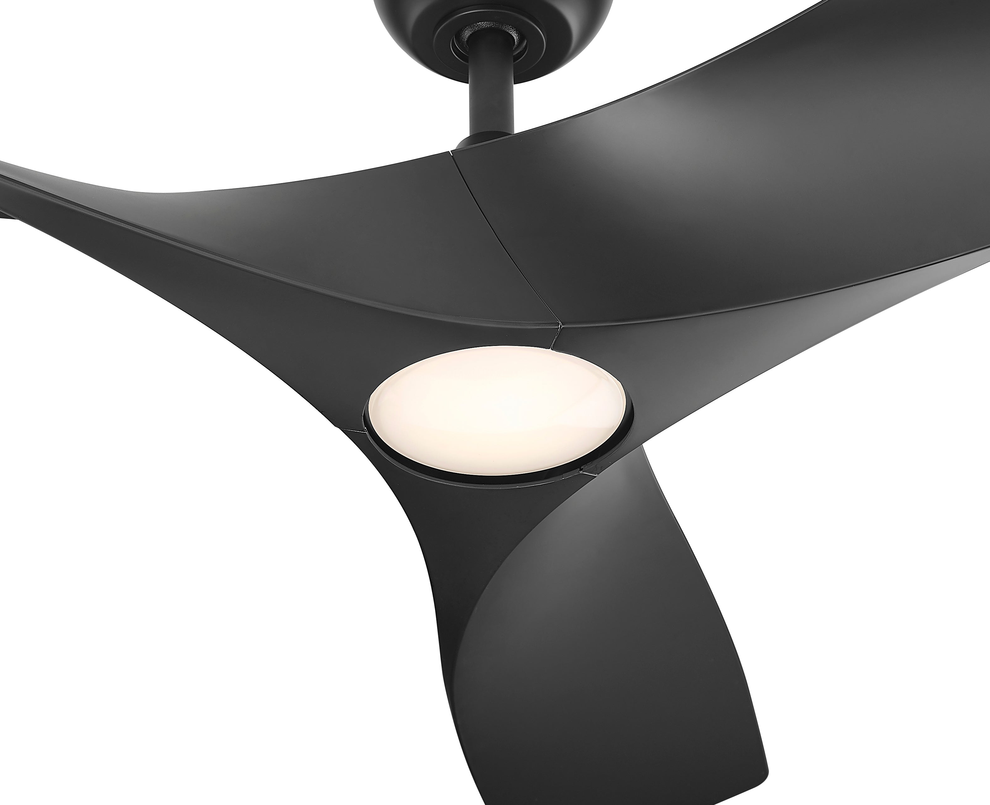 Perenne 62" Ceiling Fan-zoom-8