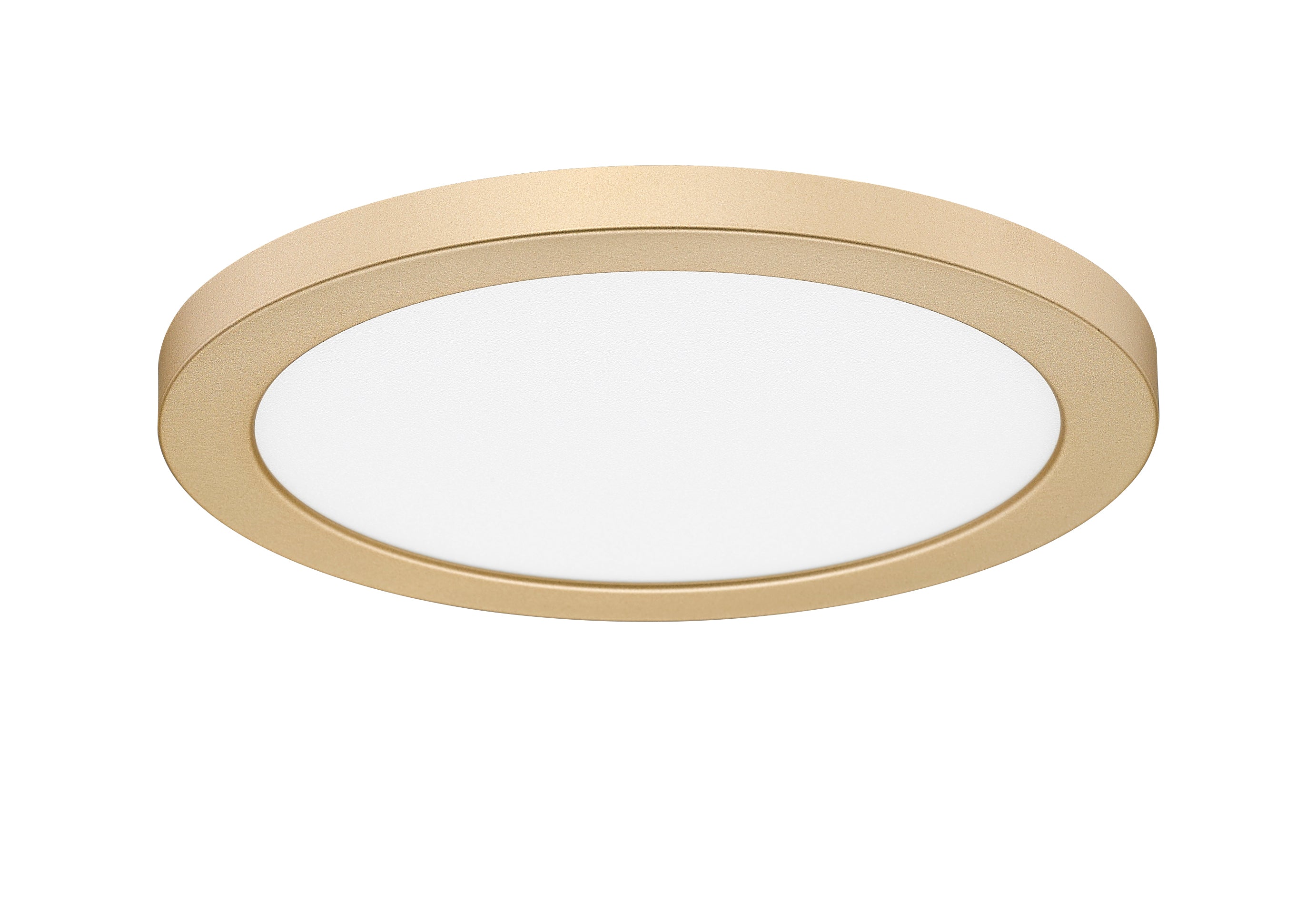 Ceiling Lights