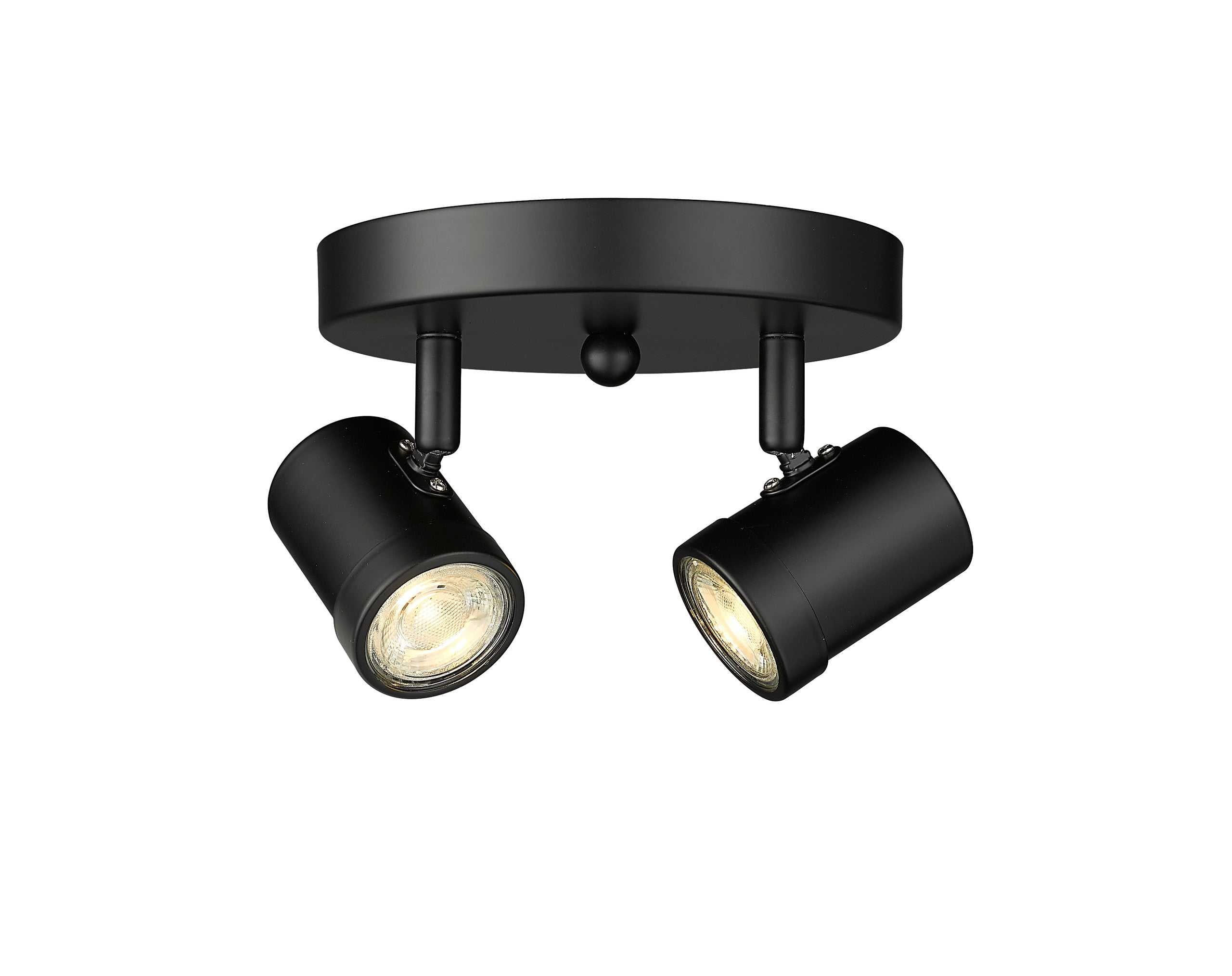 Spot-On Two Light Multi-Finish Flush Mount Black Mirage Lighting