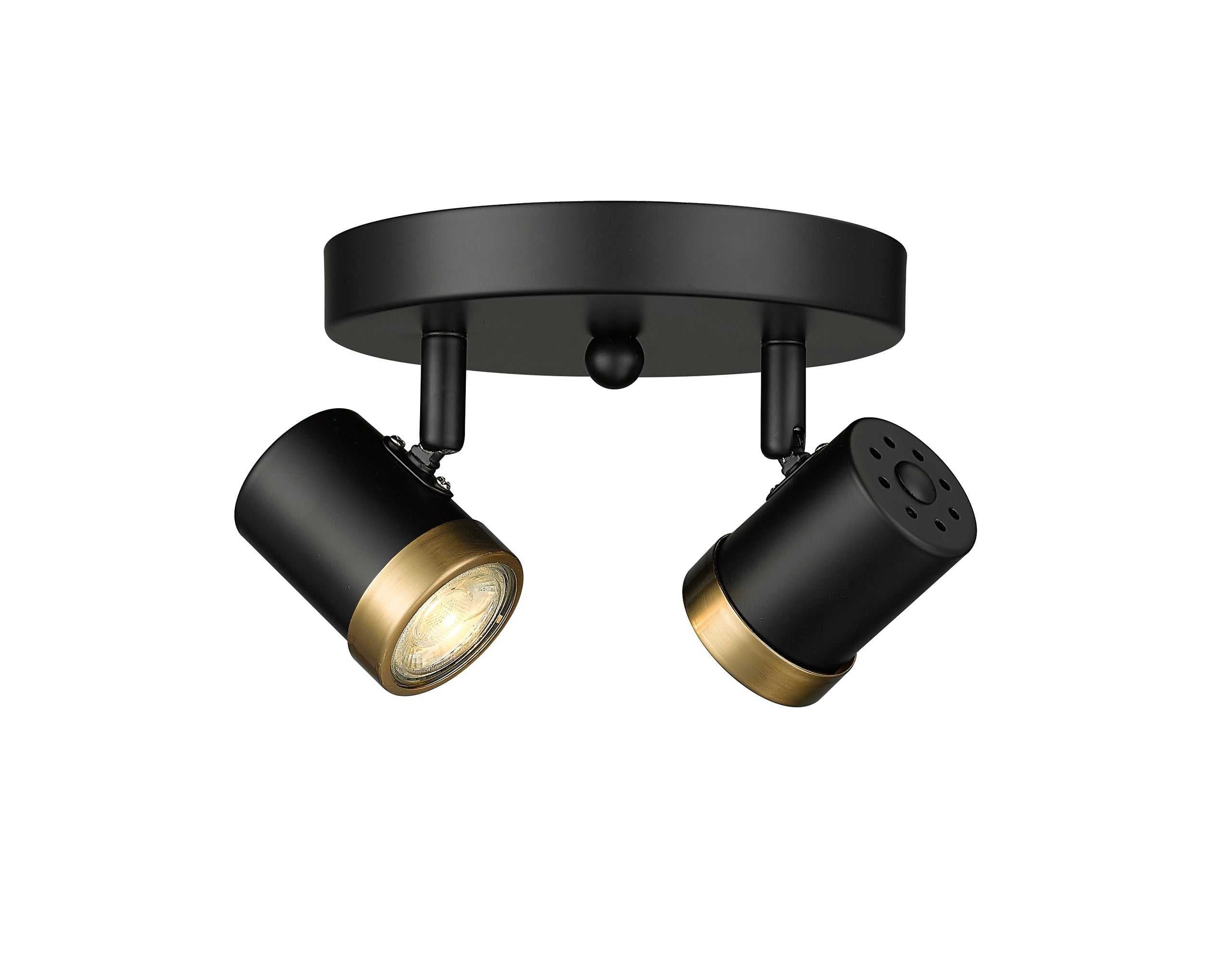 Spot-On Two Light Multi-Finish Flush Mount Black Mirage Lighting