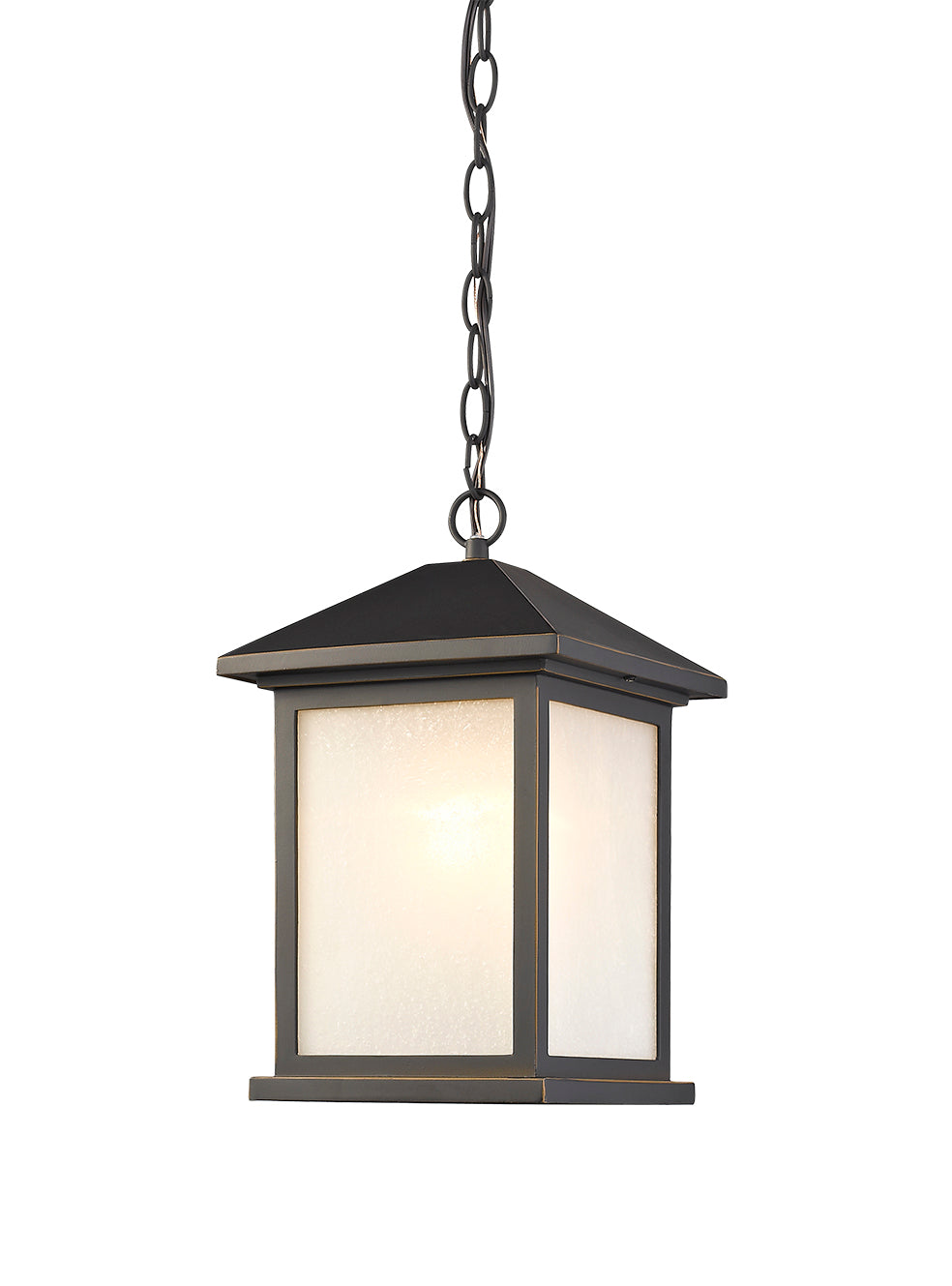 Taylor Medium Outdoor Hanging Lantern-2